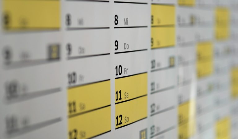 calendar, dates, schedule, days, wall calendar, year, meeting, office, planning, calendar, calendar, calendar, calendar, calendar, schedule, schedule